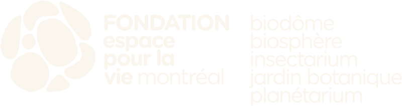 FONDATION ESPACE POUR LA VIE